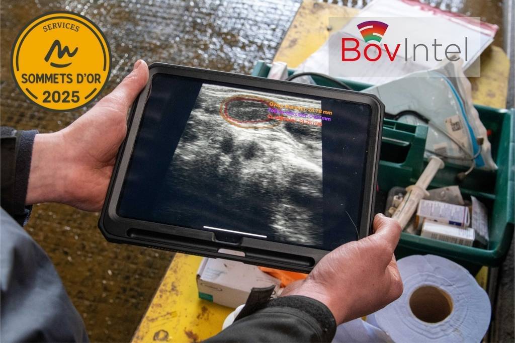 IMV Technologies, ganador del premio Sommets d’Or 2025 en la categoría "Servicios para la Ganadería" gracias a su herramienta BovIntel